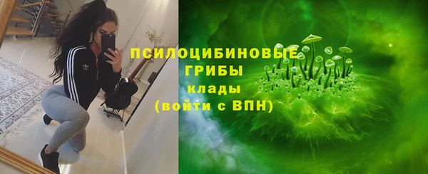экстази Пересвет