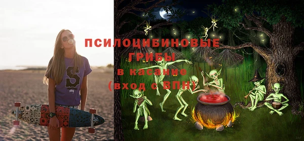 экстази Пересвет