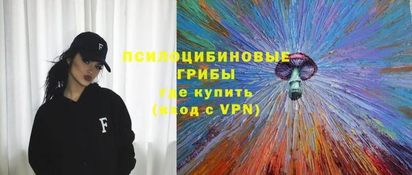 экстази Пересвет