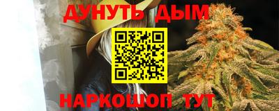 гашик Бийск