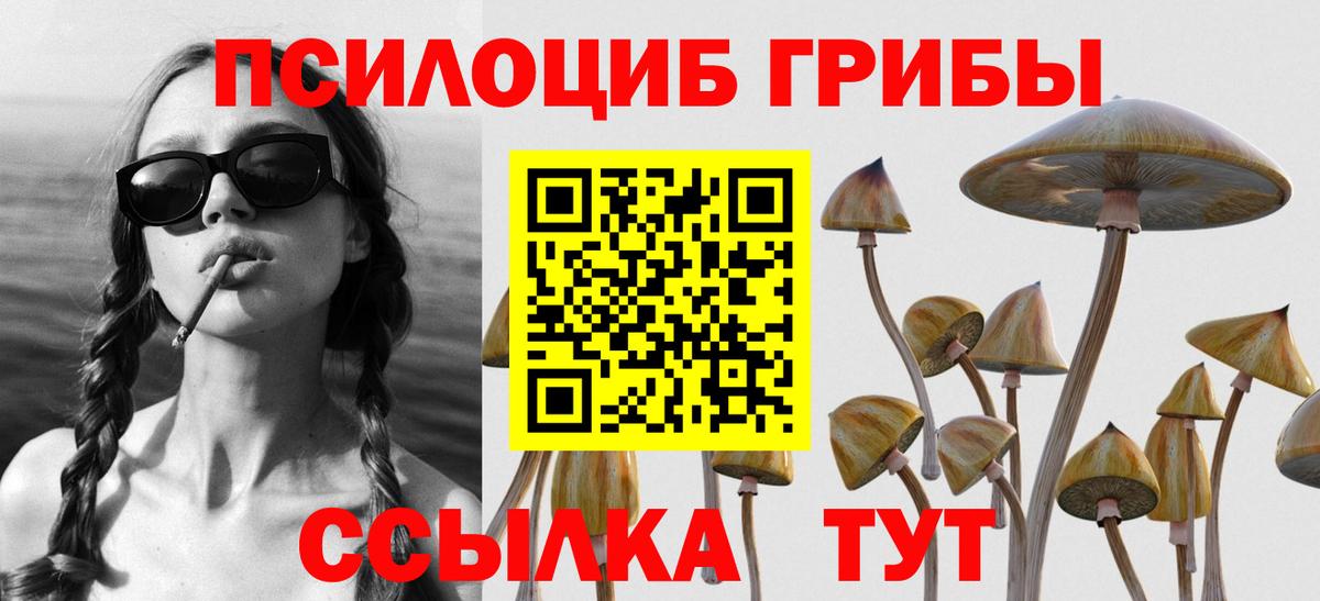Галлюциногенные грибы Psilocybine cubensis Вязьма